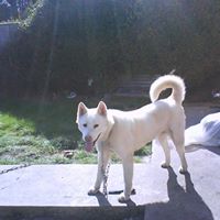 Shannan Simpson Photo 3