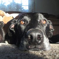 Laurie Smallwood Photo 11