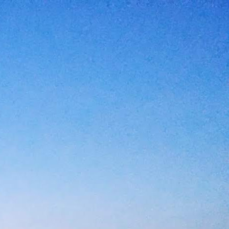 Robert Schulz Photo 16 Robert Schulz Photo 16