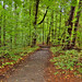 Joseph Grove Photo 9