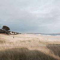 Tracy Allaire Photo 5