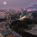 Tom Hirt Photo 16