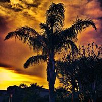 Jennifer Roerick Photo 2