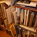 Vicki Dow Photo 14