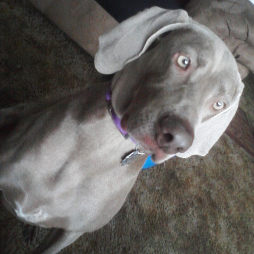 Crystal Mcneill Photo 11