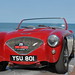 David Healey Photo 29