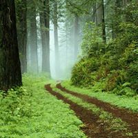 Curtis Dorsey Photo 9