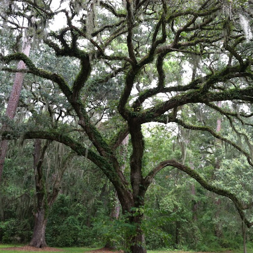 Jennifer Tidwell Photo 27