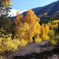 Mary Devlin Photo 18 Mary Devlin Photo 18