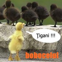 Alex Bogdan Photo 28