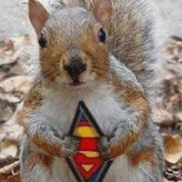 Mitchell Ellis Photo 24