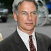 Michael Pauley Photo 28