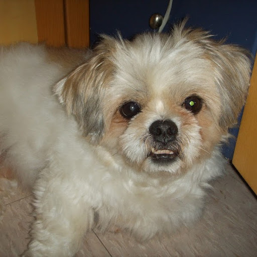 Fanny Leung Photo 11