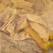 Anne Frye Photo 7