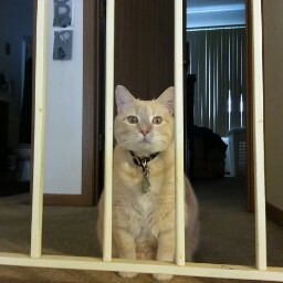 Pamela Osborn Photo 9