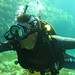 Paul Wallis Photo 22