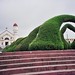Francisco Alvarado Photo 11