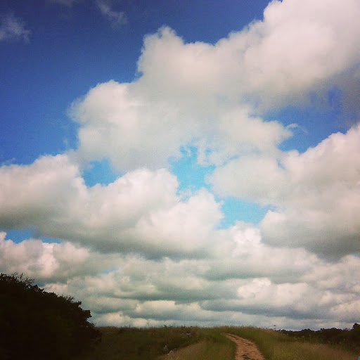 Megan Osborne Photo 20