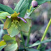 David Culp Photo 20