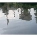 Robert Derr Photo 19