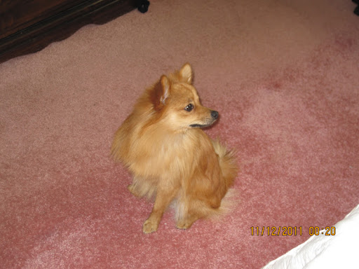 April Huff Photo 15