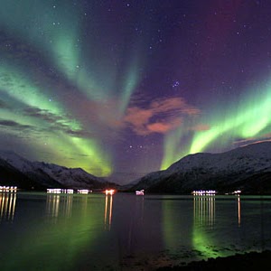 Christine Moritz Photo 12