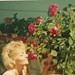 Janice Campbell Photo 18