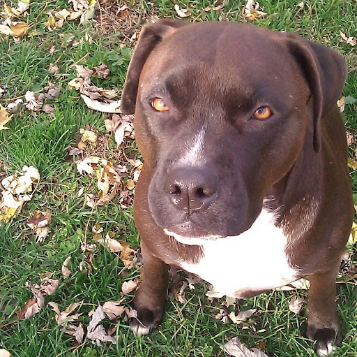 Tracie Hall Photo 41