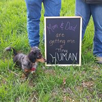 Cheryl Lowery Photo 8