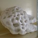 Alice Lang Photo 14