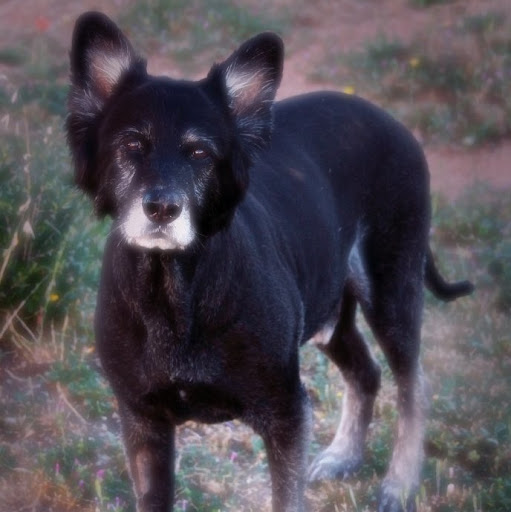 Pauline Gray Photo 34