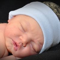 Kevin Donahue Photo 46