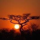 Tracy Muniz Photo 11