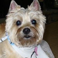 Misty Mauldin Photo 12