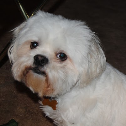 Roberta Mcdaniel Photo 7