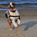 Sandy Schaefer Photo 16