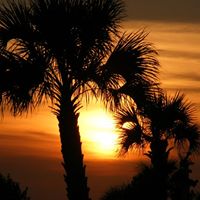 Danny Keith Photo 23