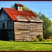 Metal Roofing Photo 6