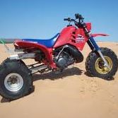 Gerald Newman Photo 22