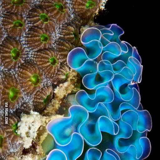 Steven Barth Photo 36