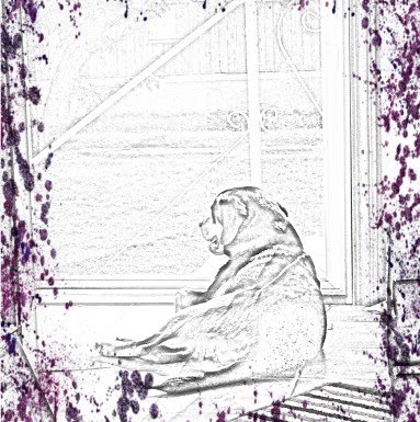 Colleen Patterson Photo 46