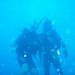 John Seng Photo 14