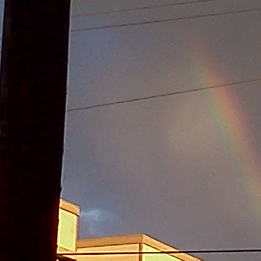 Cameron Wright Photo 25