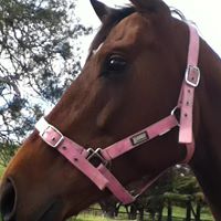 Tracy Darnell Photo 12