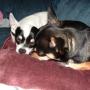 Dawn Martin Photo 45
