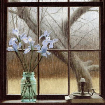 Sandra Lyons Photo 20