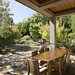Robin Whipple Photo 12