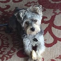 Carol Mathews Photo 12