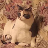 Frances Browning Photo 23