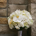 Nancy Workman Photo 7